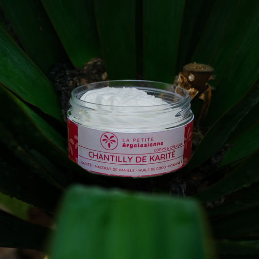 Chantilly de karité bio vanille – soin naturel corps & cheveux nourrissant
