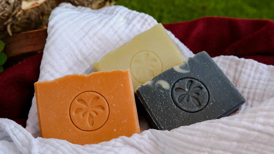 Savons solides artisanaux naturels de différentes couleurs avec motif palmier, présentés ensemble